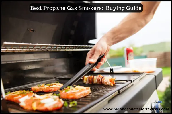 Things-to-consider-before-Purchasing-a-Best-Propane-Gas-Smokers-Buying-Guide 1