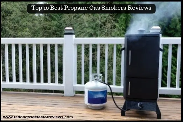 Top-10-Best-Propane-Gas-Smokers-Reviews 1