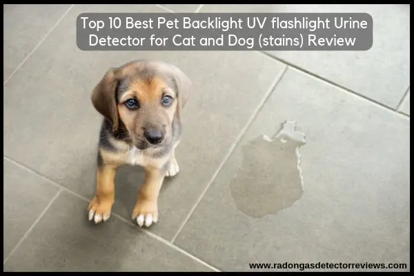 Top-10-Best-pet-backlight-UV-flashlight-urine-detector-for-cat-and-dog-stains-Review-Amazon