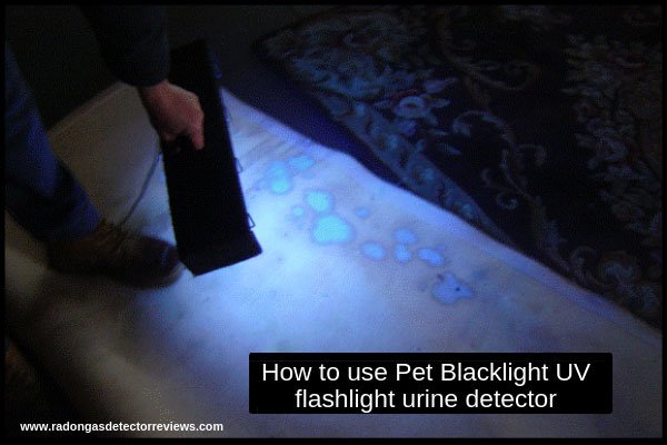 how-to-use-pet-blacklight-uv-flashlight-urine-detector-for-cat-and-dog